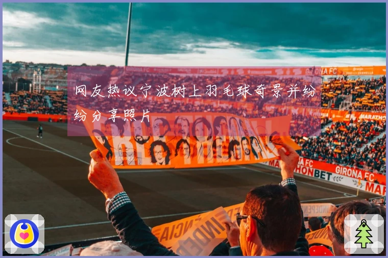 网友热议宁波树上羽毛球奇景并纷纷分享照片