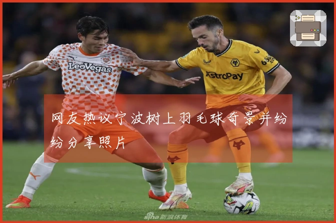 网友热议宁波树上羽毛球奇景并纷纷分享照片