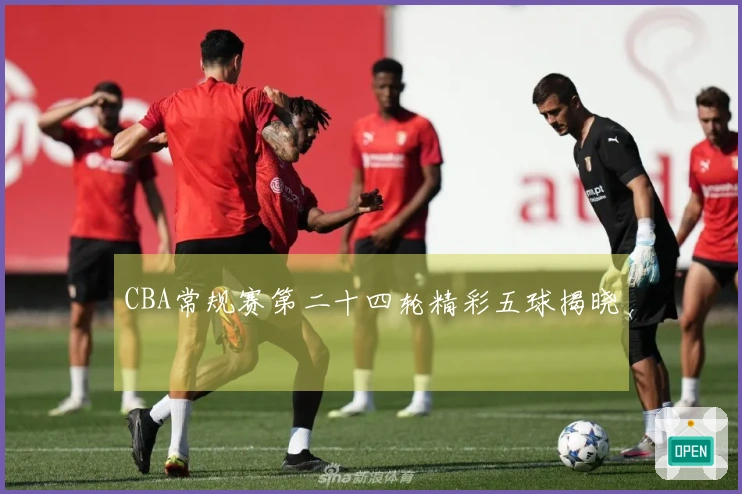 CBA常规赛第二十四轮精彩五球揭晓