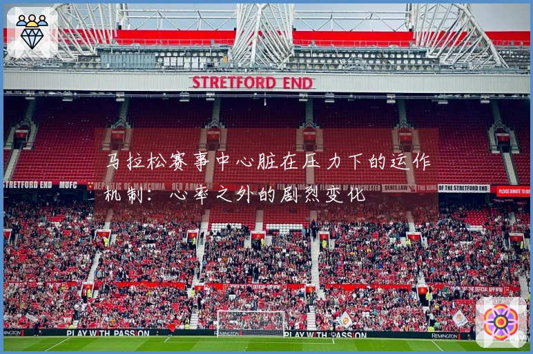 马拉松赛事中心脏在压力下的运作机制：心率之外的剧烈变化