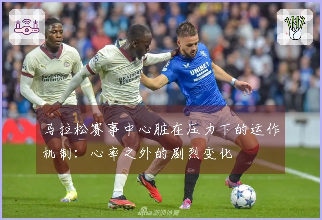 马拉松赛事中心脏在压力下的运作机制：心率之外的剧烈变化